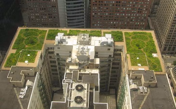 8. Nhà mái xanh: Mái nhà xanh đang ngày càng phổ biến rộng rãi như một xu hướng nhà ở thân thiện với môi trường. Trên thế giới hiện có rất nhiều tòa nhà, chung cư, thậm chí trường học áp dụng kiểu mái phủ cây xanh thân thiện và đẹp mắt này.