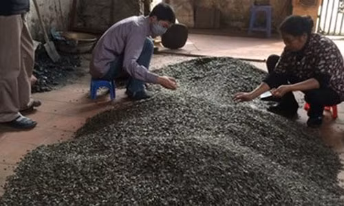 Hạt hướng dương đổ ngay trên nền gạch.