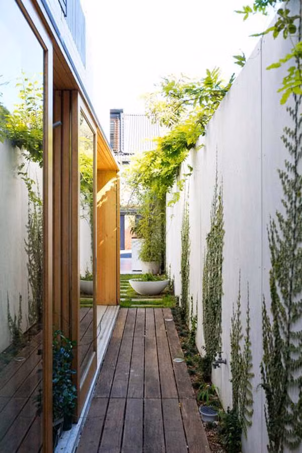 Trồng giàn dây leo lên tường rào sân vườn cũng là một ý tưởng trang trí hết sức độc đáo.