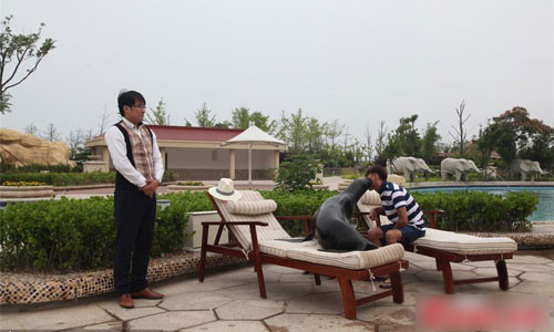 Chú sư tử và chủ nhân giàu có nghỉ ngơi trên ghế. Bên cạnh đó là quản gia túc trực 24/24h để phục vụ vị đại gia và thú cưng.