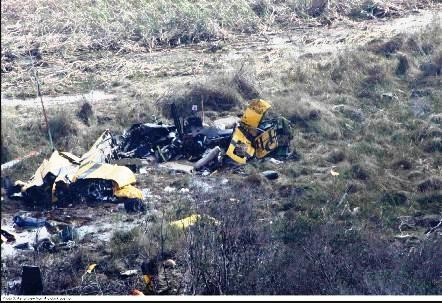 Ngày 4/1/2009, một trực thăng Sikorsky S-76 đâm phải một con chim ưng đuôi đỏ khi đang bay tại bang Louisana (Mỹ). Chim ưng lao vào kính chắn gió của trực thăng ở vị trí bên phải phi công. Vụ va chạm khiến phần kính bị vỡ, dẫn đến hàng loạt sự cố khiến máy bay mất năng lượng và rơi xuống một đầm lầy. Vụ tai nạn khiến 8 trong số 9 người trên trực thăng thiệt mạng, hành khách còn lại bị thương rất nặng.