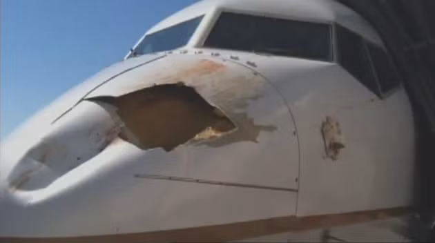 Tháng 8/2012, chiếc máy bay Boeing 737 của hãng hàng không United Airlines đã va chạm với một chú chim khi đang hạ cánh xuống sân bay quốc tế Denver, Mỹ. Vụ tai nạn hi hữu này đã khiến chiếc máy bay chở khách hiện đại bị thủng một lỗ rất to ở phần mũi.