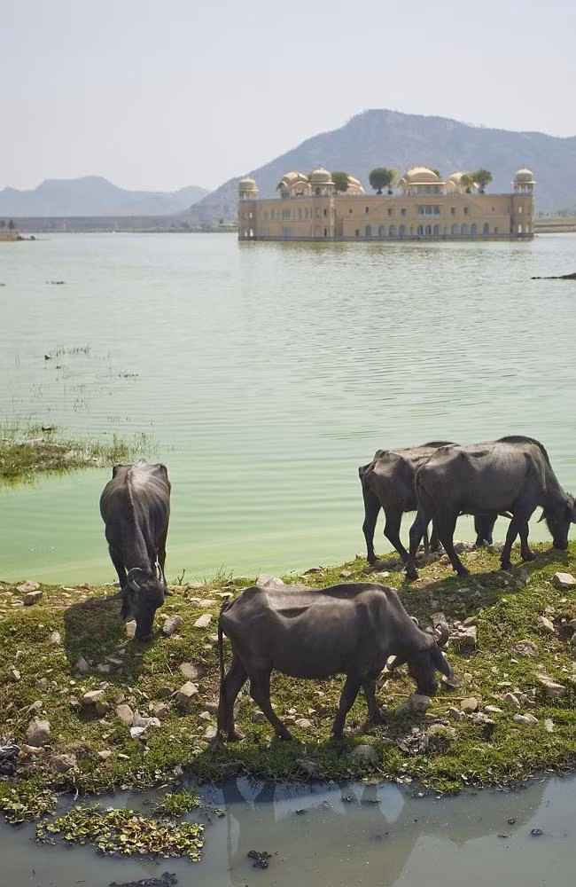 Nhiều đồn đại cho rằng cung điện bị bỏ hoang này bị ma ám với nhiều vết nứt xuất hiện.
