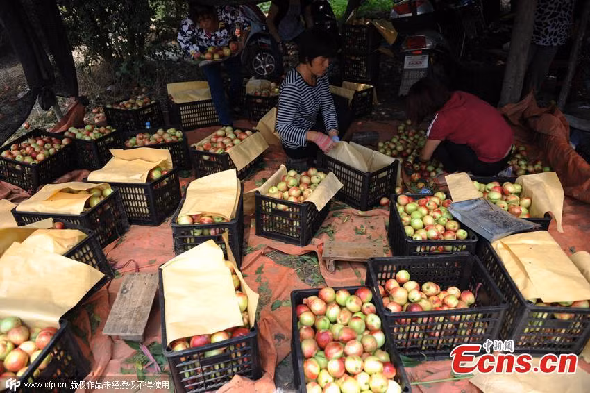 Xem Trung Quoc do bo hang tan dao gia beo-Hinh-3