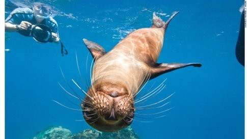 Khám phá quần đảo Galapagos: Galapagos nằm ở Nam Thái Bình Dương, cách Ecuador 1.000km về phía Tây. Đến đây, du khách có cơ hội khám phá những bãi biển thơ mộng, tham gia các môn thể thao như lặn biển, lướt sóng, lướt ván, bơi thuyền, thăm các khu dự trữ sinh quyển, bảo tồn thiên nhiên với nhiều loài sinh vật quý hiếm.