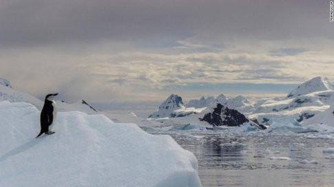 Đặt chân đến Nam Cực: Du khách nào chẳng một lần ao ước được du lịch đến Nam Cực – thiên đường băng giá của thế giới để ngắm tuyết, chim cánh cụt và thử thách lòng can đảm, sự dũng cảm của mình.