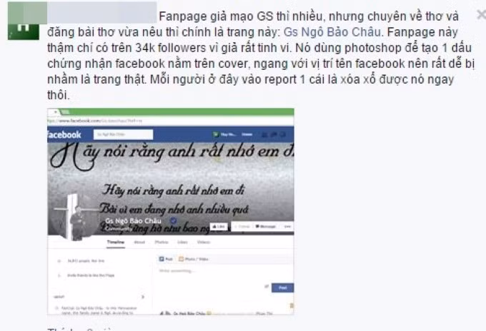 GS. Ngo Bao Chau buc xuc vi facebook gia mao-Hinh-3