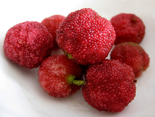 Trái Yumberry (quả thanh mai) được trồng chủ yếu ở các khu vực cận nhiệt đới của miền đông nam Trung Quốc. Loại quả lạ này cũng có trồng ở Việt Nam với cái tên Dâu rượu hay Dâu tiên.