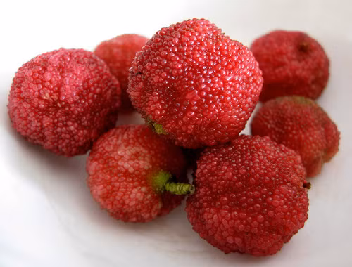 Trái Yumberry (quả thanh mai) được trồng chủ yếu ở các khu vực cận nhiệt đới của miền đông nam Trung Quốc. Loại quả lạ này cũng có trồng ở Việt Nam với cái tên Dâu rượu hay Dâu tiên.