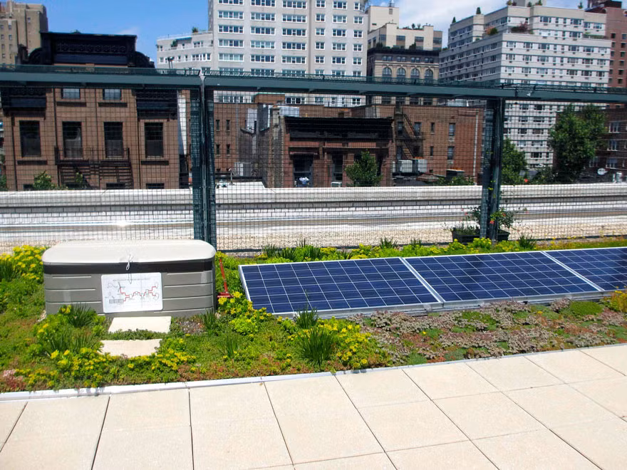 Khu vườn trên mái trường học này còn lắp xen kẽ cả những tấm pin năng lượng mặt trời giúp tiết kiệm năng lượng.