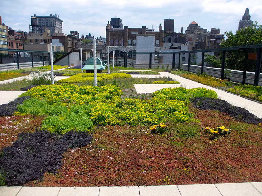 Bài giảng của các thầy cô sẽ sinh động và dễ hiểu hơn khi trẻ được trải nghiệp thực tế.