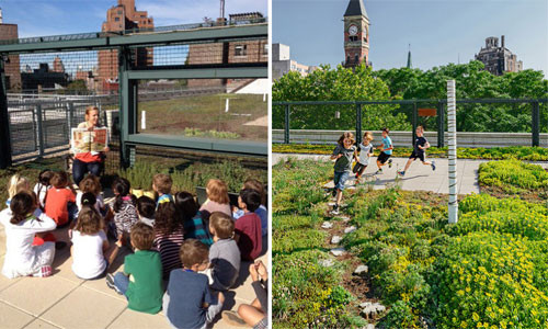 Sân vườn trên mái được bao bọc bởi những hàng rao sắt kiên cố nên các bé sẽ thoải mái nô đùa an toàn.