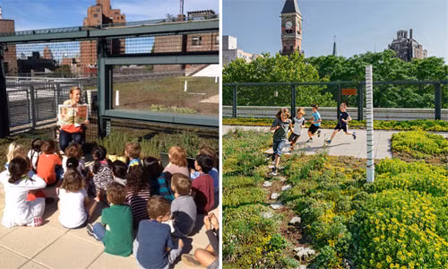 Sân vườn trên mái được bao bọc bởi những hàng rao sắt kiên cố nên các bé sẽ thoải mái nô đùa an toàn.