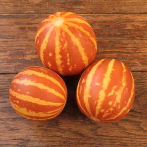 Quả có mùi thơm hấp dẫn, vị ngọt mát, cây phát triển mạnh và rất dễ trồng.