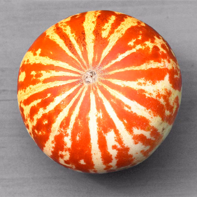 Quả nặng khoảng 400g, thịt quả màu trắng, vị ngọt mát.