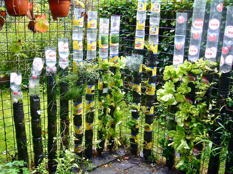 Bạn có thể trồng rất nhiều loại rau tại khu vườn treo này.