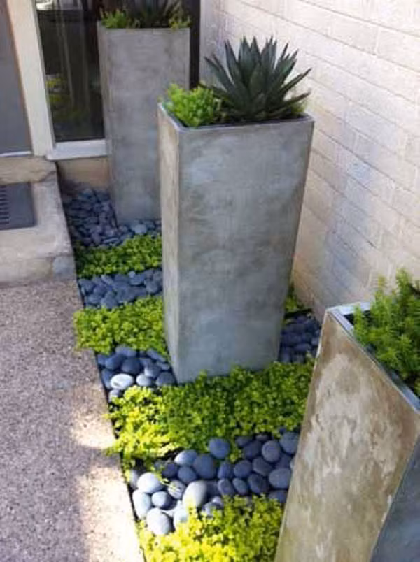 Những viên sỏi làm nền cho thảm thực vật xanh tốt trong nhà.