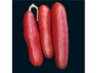 Ở Puerto Rico, một loại rượu lên men được nấu từ quả Cassabanana cũng được sử dụng để làm giảm bệnh viêm họng.