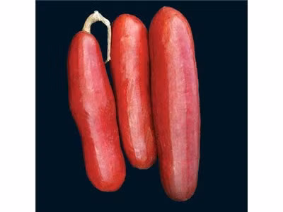 Ở Puerto Rico, một loại rượu lên men được nấu từ quả Cassabanana cũng được sử dụng để làm giảm bệnh viêm họng.