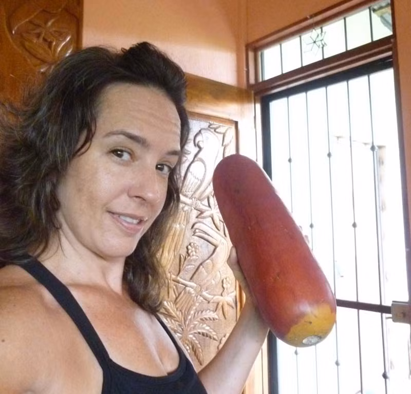 Quả dưa to lớn có thể đạt kích thước dài tới 60 cm.