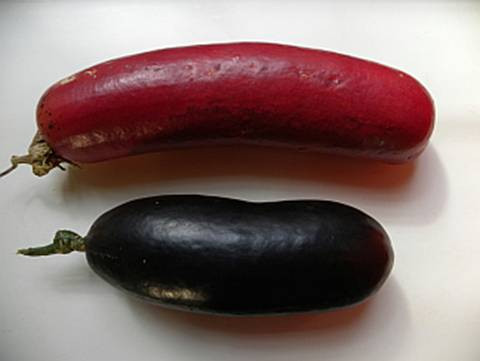 Loại quả lạ này có thể được ăn trực tiếp sau khi hái và đặc biệt phổ biến trong mùa hè bởi tính mát của nó. Ngoài ra, quả Cassabanana khi còn non cũng được dùng làm nguyên liệu chế biến món ăn.