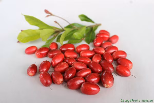 Hiện nay, theo Cục Quản lý Dược và Thực phẩm của Mỹ (FDA), những chế phẩm có liên quan đến quả thần kỳ đều được dán nhãn là nhóm “thực phẩm bổ sung” (dietary supplement) thay vì “chất làm ngọt” (sweetener).