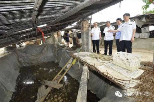 Nguồn nước ngầm được sử dụng để pha chế "nước ngọt".