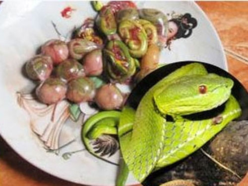 Bào thai động vật quý hiếm cũng là lựa chọn ưa thích của các đại gia có nhu cầu tăng cường sinh lực. Không chỉ uống rượu ngâm bào thai, nhiều bào thai được quý đại gia ăn trực tiếp để tăng thêm khả năng giường chiếu cho bản thân.