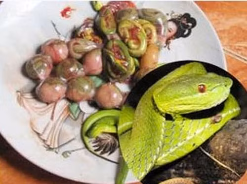 Bào thai động vật quý hiếm cũng là lựa chọn ưa thích của các đại gia có nhu cầu tăng cường sinh lực. Không chỉ uống rượu ngâm bào thai, nhiều bào thai được quý đại gia ăn trực tiếp để tăng thêm khả năng giường chiếu cho bản thân.