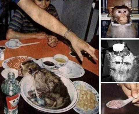 Người Trung Quốc cho rằng, óc khỉ là món ăn, bài thuốc quý giá để tăng cường sức mạnh đàn ông. Do đó, món não khỉ còn đã trở thành món ăn kinh hoàng được giới đại gia bỏ ra rất nhiều tiền để săn đón bởi sự tin tưởng vào khả năng tăng cường tính dục của món ăn.