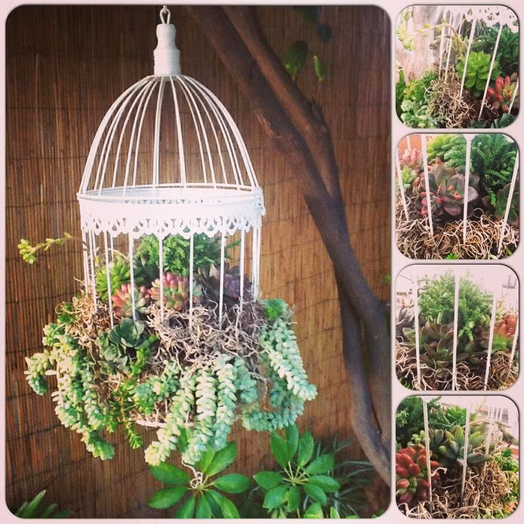 Những giỏ hoa là một ý tưởng trang trí nhà vô cùng sáng tạo và tiết kiệm chi phí.