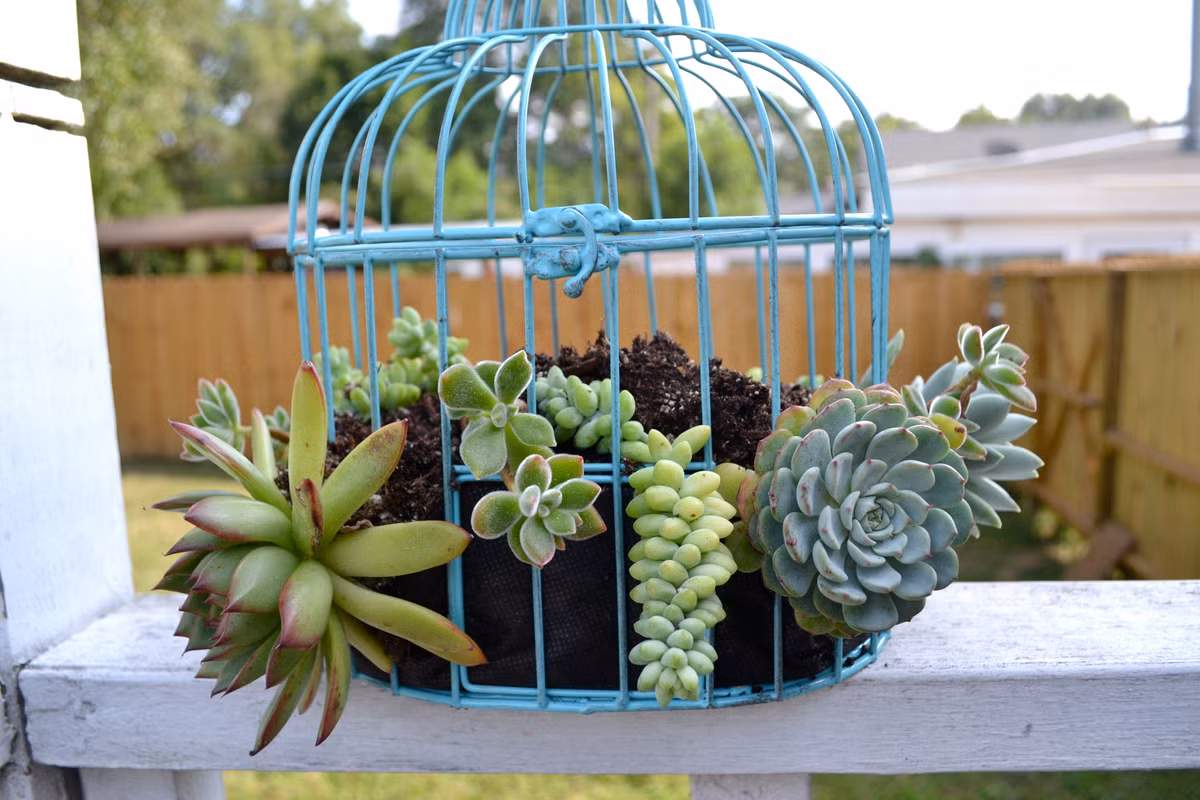 Bạn có thể đặt ở lan can tùy theo ý thích.