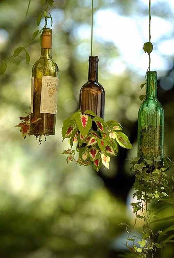 Giỏ hoa treo từ vỏ chai.