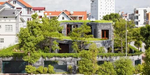 Ngôi nhà như một khu rừng thu nhỏ với đá và cây cỏ làm cho con người như được trở về sống với thiên nhiên hoang dã.