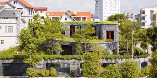 Ngôi nhà như một khu rừng thu nhỏ với đá và cây cỏ làm cho con người như được trở về sống với thiên nhiên hoang dã.