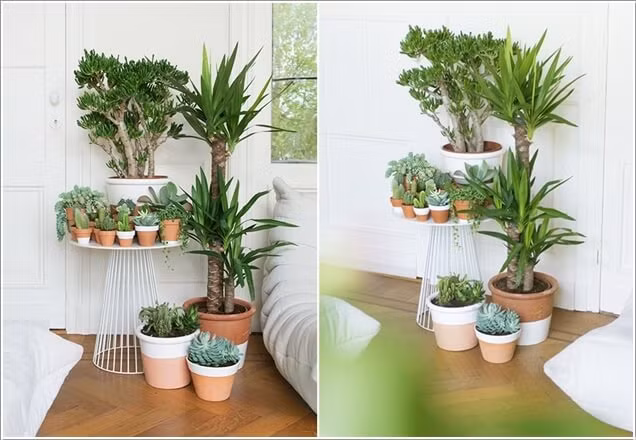 Để trang trí phòng khách, bạn có thể dùng giá đỡ để bày trí các cây cảnh ở một góc phòng.