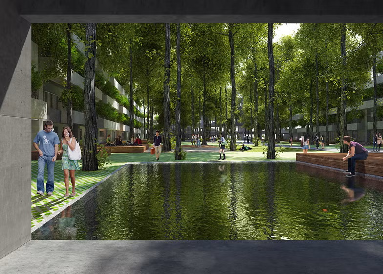 Ngoài cây xanh, sân trường còn có hồ nước mát góp phần điều hòa không khí.