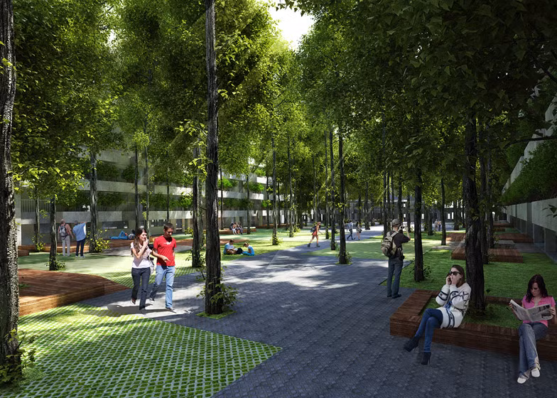 Tất cả các hoạt động của sinh viên đều dưới bóng cây, xung quanh cây.