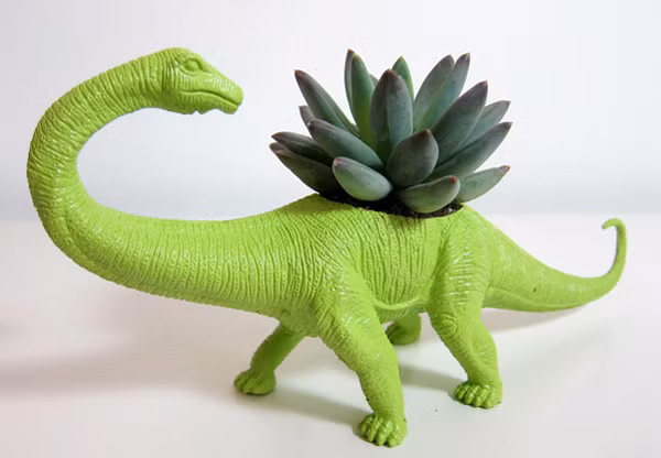 Chiếc chậu trồng hoa đá hình khủng long trông khá đáng yêu và bắt mắt.