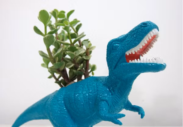 Hãy dùng những chậu hoa trang trí nhà kỳ dị mà rất đáng yêu này, bạn sẽ biến không gian nhà mình trở nên ấn tượng.