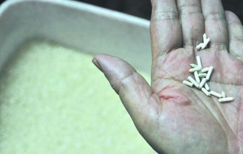 Trang Shanghaiist mới đây đưa tin về một loại gạo giả Trung Quốc được làm từ giấy vừa được phát hiện tại tỉnh Quảng Đông của nước này. Theo tờ báo, một gia đình ở Quảng Đông mua và nấu phải lô gạo giả Trung Quốc.