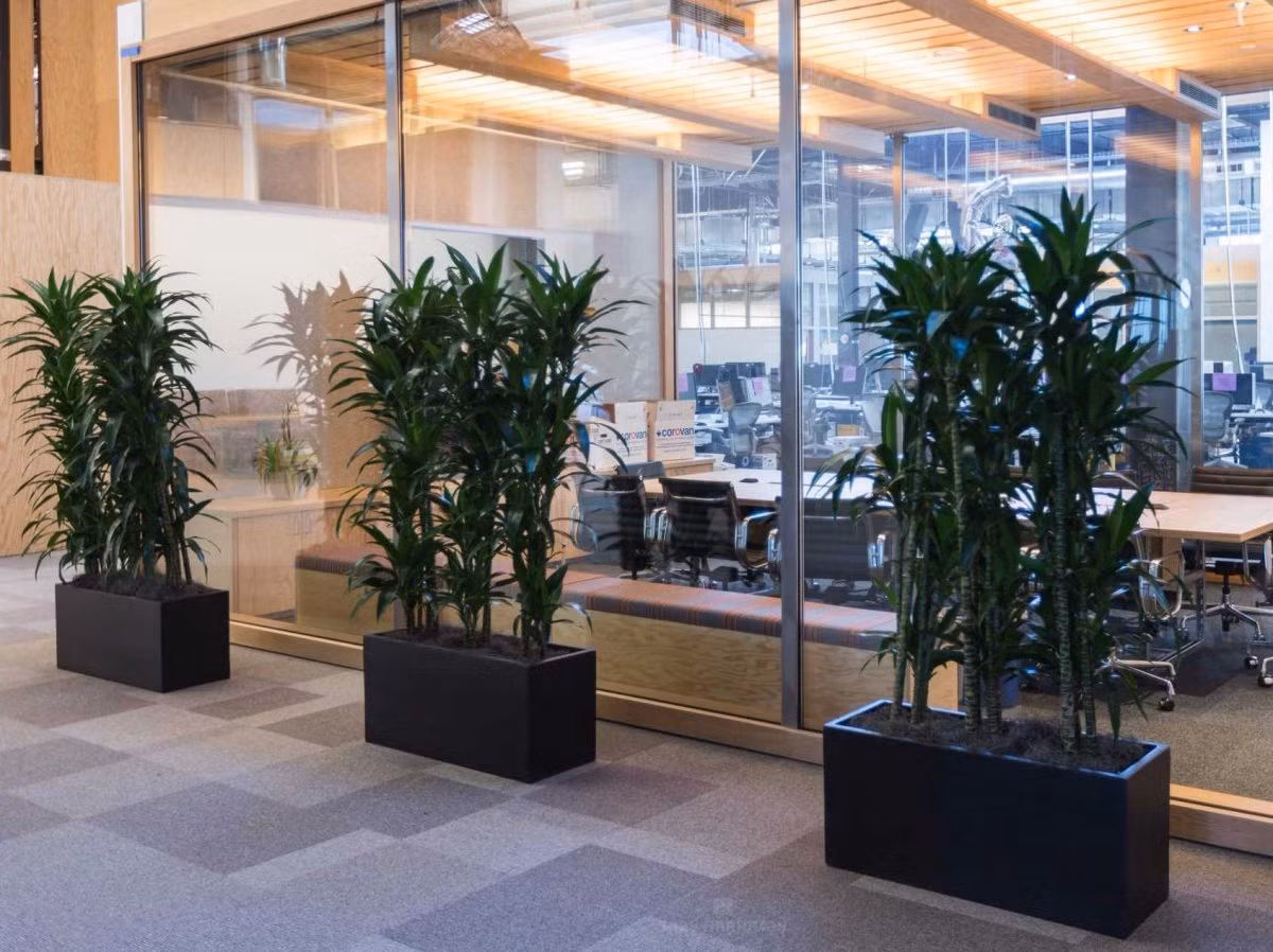 Do căn phòng chính quá lớn, phòng họp được ngăn cách bằng cách bức tường kính ở trung tâm.