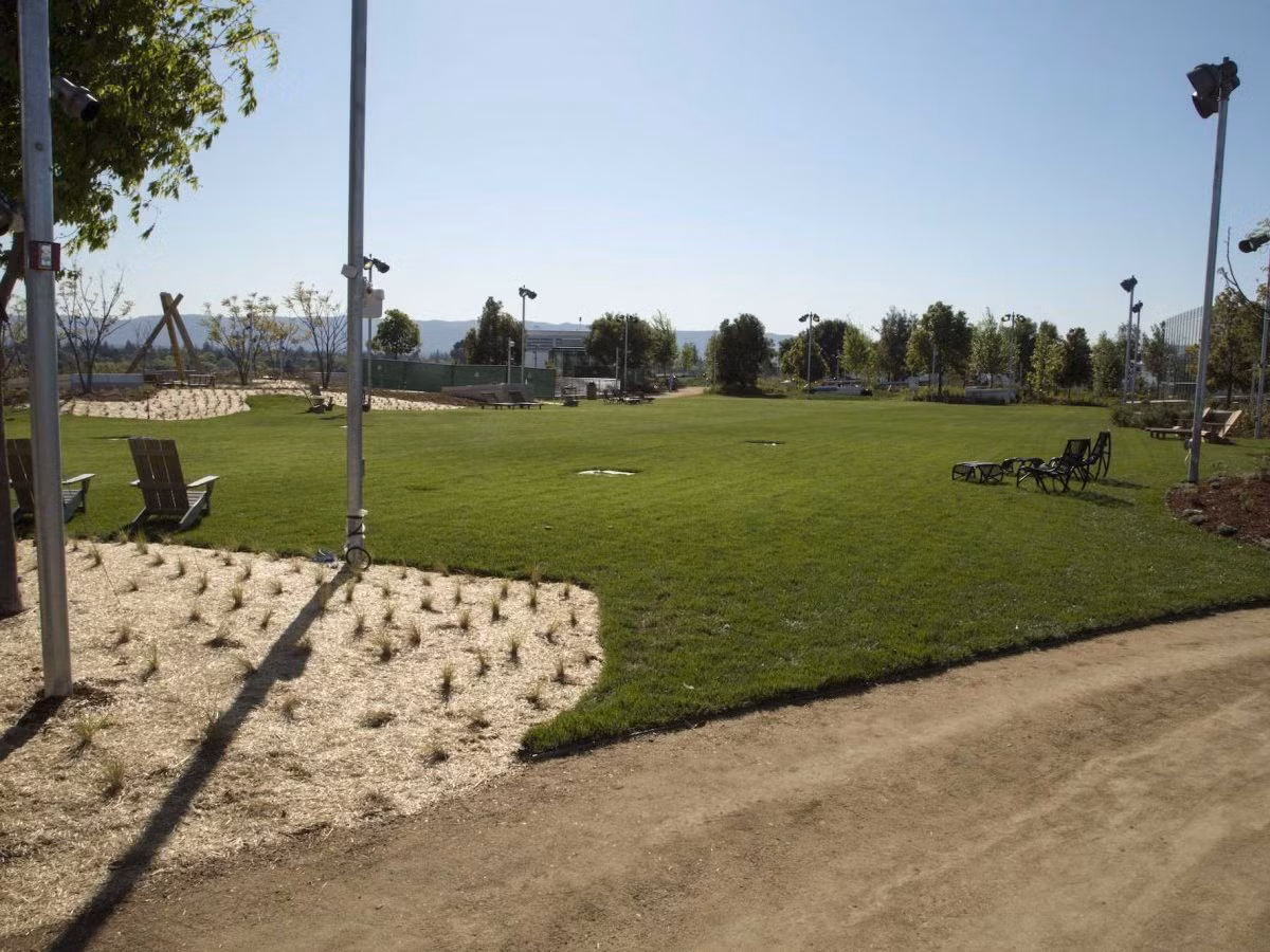 Có khoảng 400 cây được trồng trên khu vườn sân thượng. Facebook hy vọng đây sẽ là thiên đường cho các loài chim sinh sống.