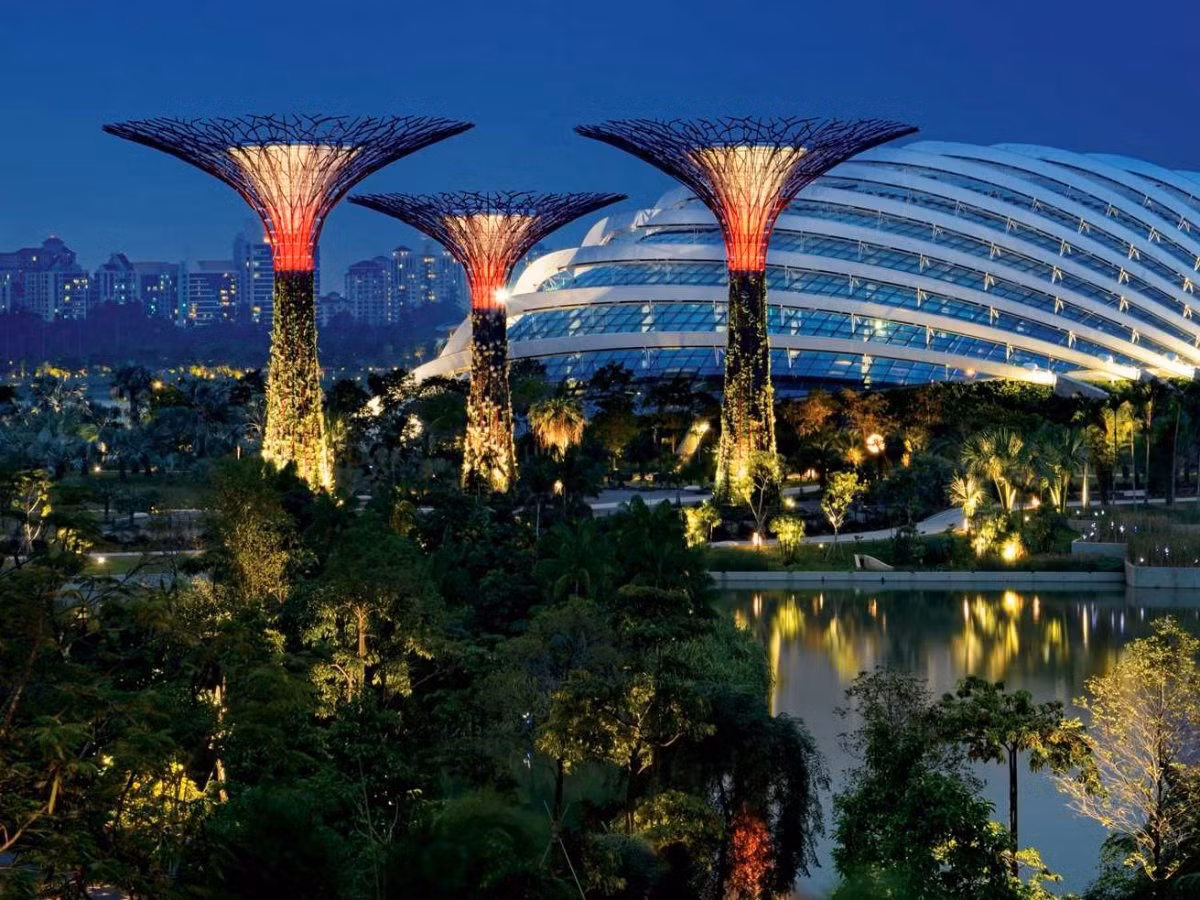 Công viên Gardens by the Bay tỏa sáng lung linh vào ban đêm.