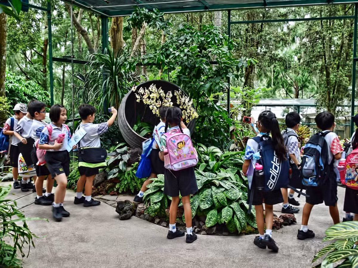 Vườn Bách Thảo Singapore mở cửa miễn phí cho công chúng. Vào các buổi cuối tuần, người dân Singapore thường đến đây để cắm trại và thư giãn.