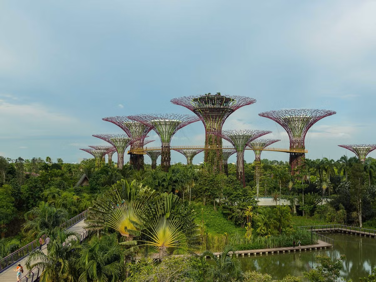 Phần lớn đất đai của Singapore là đất khai hoang. Quốc đảo này nhỏ bé tới mức không có đất đai để mở rộng thêm nên họ đã mở rộng theo chiều cao. Trong hình là công viên Gardens by the Bay được xây dựng trên đất khai hoang.