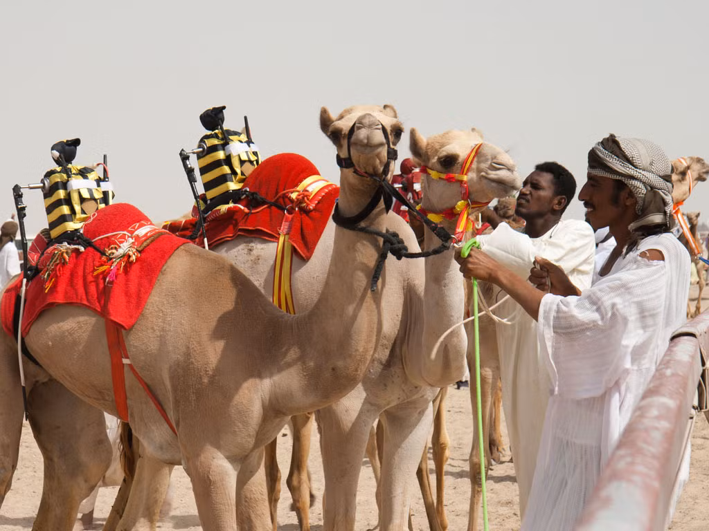 Do đó, mục đích chủ yếu của cuộc đua lạc đà mang tính giải trí nhiều hơn vì lợi ích tài chính bởi chủ sở hữu của lạc đà đua đều là những người đàn ông giàu có.