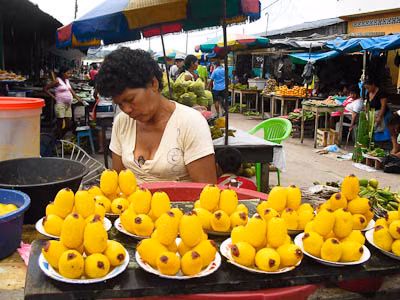 Không chỉ vậy, dầu Aguaje chứa hàm lượng chống nắng SPF tự nhiên đáng kinh ngạc mà người ta có thể sử dụng để lọc tia cực tím và điều trị bỏng. Do đó, Aguaje đã mang đến một nguồn thu mới cho người dân trong vùng bởi những giá trị của nó.