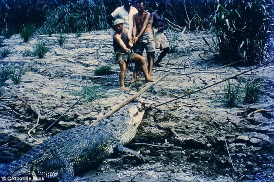 Ông Mick học được nghề săn bắt cá sấu từ người cha dượng của mình là German Jack - một người nổi tiếng với công việc đánh bắt cá sấu khổng lồ trong tự nhiên.