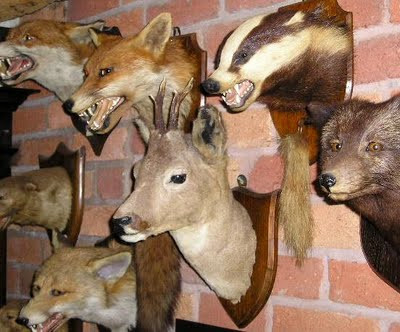 Những chiếc đầu chó sói thể hiện sự hung tợn đến đáng sợ.